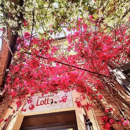 Domus Tepula Ii Daire Roma